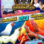 โปรแกรมชนสนาม ภู่พันธ์ตระกูล วันที่ 23 มิถุนายน 2568